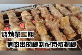 烧烤秘制配方，腌制出来的猪肉串味道真好吃，正宗的东北烧烤味视频封面