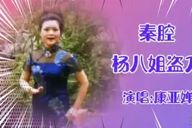 著名演员康亚婵秦腔（杨八姐盗刀）精湛的演唱，堪称一绝。视频封面