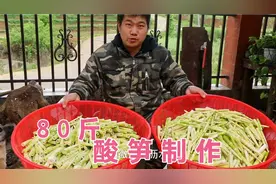 如何制作野生酸笋，小农乡教你详细教程，一次泡80斤，三天就酸了