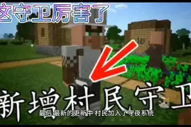 我的世界村民的隐藏特性，被僵尸咬了会感染，作息时间超规律视频封面