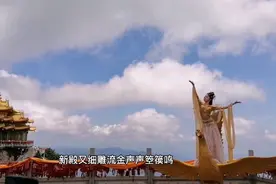 为君舞一曲，天上人间视频封面