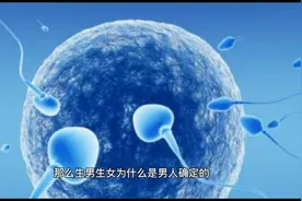 XY染色体是影响胎儿性别的重要因素，你对染色体了解吗?视频封面