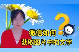 微信怎样获取图片中文字信息？2种方法，简单方便又快捷，快收藏视频封面