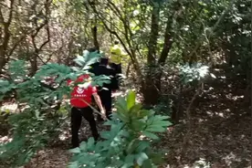 流浪十几年住在山里的大哥回家了@头条寻人 @让爱回家寻亲视频封面