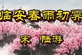 宋代诗人陆游《临安春雨初霁》小楼一夜听春雨，深巷明朝卖杏花视频封面