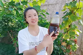 红糖酵素原液发酵的方法和细节，用了很久的配方，效果非常好视频封面