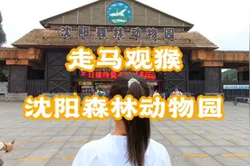 沈阳森林动物园有多种珍稀动物，大象老虎黑猩猩，袋鼠河马丹顶鹤