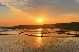 中国顶级吉林省最美的水稻田—国信•社稷尚品火山岩水稻种植基地视频封面