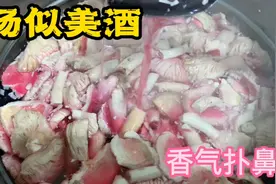 松树林红蘑菇到底能不能吃破解版，谭檀亲自下厨带你看结果！视频封面