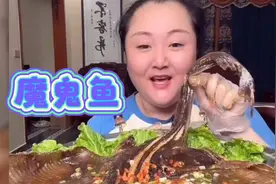 魔鬼鱼，也是老板鱼，全身都是可以吃的，没有刺，嘎嘎脆！视频封面