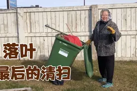 秋风扫落了树叶，风停后 我们把院子里的落叶来个彻底清扫视频封面