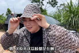 河南人海南第一次见荔枝王 刚到老妈就先吃一个 两位保姆也有份视频封面