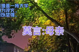 忍饥挨饿的岁月只是故事的背景，爱与尊严才是作品的主题。莫言视频封面