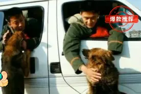 士兵退伍，情真意切的搜救犬依依不舍，让我止不住的泪水往下流。视频封面