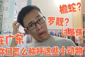 广东人对蜈蚣、螃蟹的称呼太奇怪了，而且“罗靓”也敢炒来吃，牛视频封面