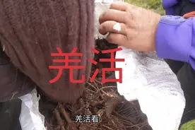 喜欢的人或事都值得我们去坚持