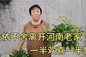 小贾依依不舍离开河南老家，和女友回归新的生活，一半欢喜一半忧视频封面