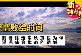 《深情败给时间》直到情路走散以孤独为伴，才深深体会揪心的遗憾视频封面