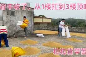 扛稻谷上楼太重了，大哥不愿意帮忙顶嘴脾气又犟，被妈妈鞭子伺候视频封面