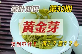 绿茶黄金芽，没法聊的茶叶，黄？皇？，反正淡到没什么意思视频封面