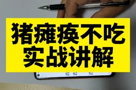 猪链球菌感染，瘫痪，不吃，猪站不起来视频封面