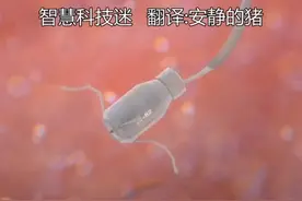 【每日创新发明】来自哈工大的科学家研发微型机器人治疗脑癌视频封面