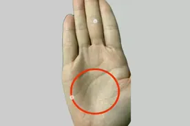 手相讲解：手掌种的杂纹细纹，该如何改善视频封面