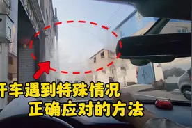 开车遇到特殊情况如何处理？记住老司机总结的这几点视频封面