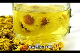菊花泡水的功效视频封面