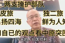 都是掩护，两支劲旅结局不同！用自已的观点看中原突围(九)视频封面