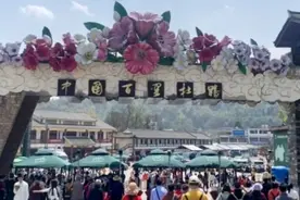 贵州省毕节百里杜鹃风景名胜区，满山遍野野生杜鹃开得震撼人心视频封面