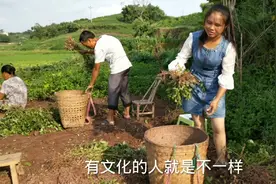 农村妹子细心摘花生，老公嫌太慢想到新方法，这样摘速度就是快啊