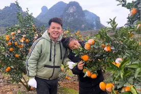 小放家的茂谷柑快熟了，带上村花媳妇去果园尝鲜，农村生活真幸福视频封面