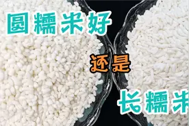今天才知道，长糯米和圆糯米区别这么大，难怪包的粽子口感不一样视频封面