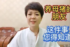 母猪配种前需要接种哪些疫苗呢？视频封面