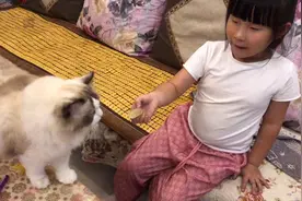 看姐姐吃糖小猫咪馋坏了，赶快跑过来要糖吃，最后把牙粘上了视频封面