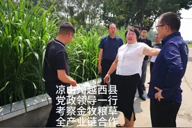 凉山州越西县党政领导在中海蓝建及四川金牧粮草领导陪同下考察…视频封面