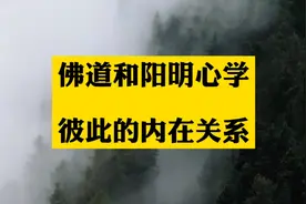 为什么我认为阳明心学和佛道根源是一样的视频封面