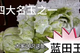 马师傅分享蓝田玉知识，看后买蓝田玉，希望对你有所帮助