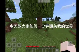 教大家如何一分钟通关我的世界，好好看好好学