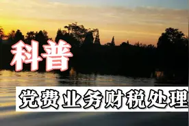 实务！企业党费、党组织工作经费的会计核算与涉税处理视频封面