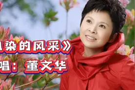 经典红歌《血染的风采》董文华深情演唱，感人至深，致敬英雄！视频封面