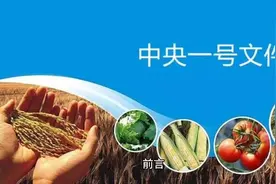 大国小农，生态循环可持续发展农业之路，论文视频封面