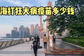 上海12月鼓励对猫狂犬免疫，看看现在被猫抓伤、打疫苗花多少钱视频封面