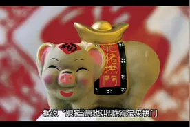 山海经十大瑞兽六--当康视频封面