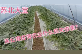 疫情下的连云港！很多行业停工停产，还有什么行业损失比较严重?