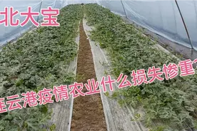 疫情下的连云港！很多行业停工停产，还有什么行业损失比较严重?