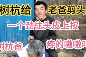 树杭没事给父亲剪头发，老是拿着推子往一个地方按老爸疼的嗷嗷叫视频封面