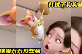 这就是打扰狗狗睡觉的下场视频封面