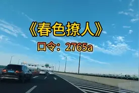 看上了闺蜜的哥哥，该怎么办！一枝红杏出墙来视频封面